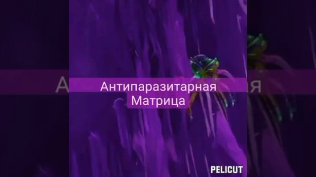 ?Матрица Гаряева от микробов, грибков и бактерий . смотреть онлайн