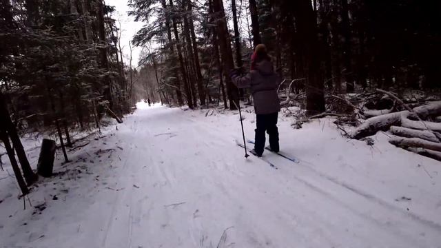 Клин, катание на лыжах в лесу смотреть онлайн