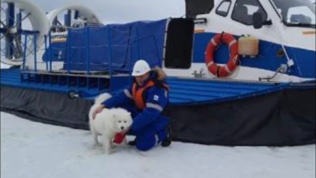 Моряки заметили белое существо, бегущее по холоду. смотреть онлайн