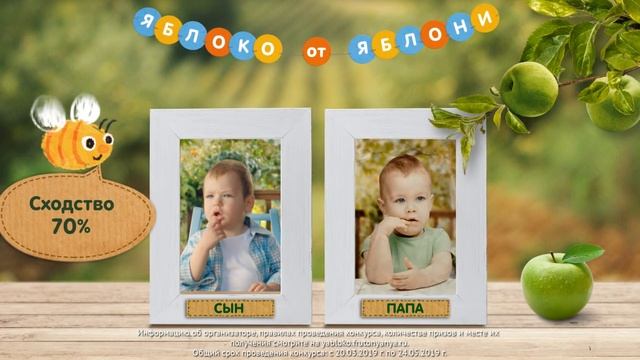 Конкурс ФрутоНяня «Яблоко от яблони» смотреть онлайн