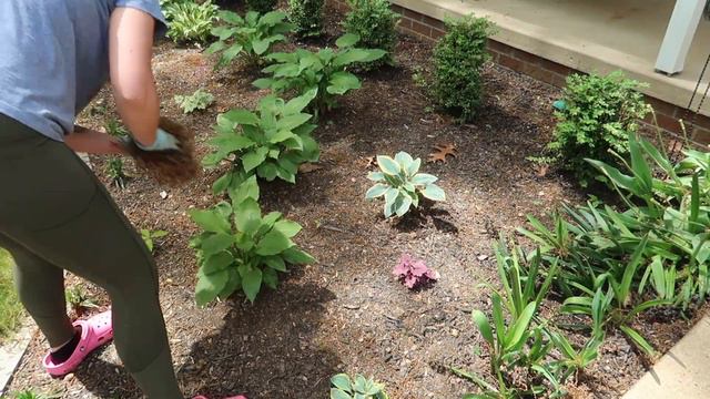 Planting Summer Annuals | Summer Flowers in Landscaping | Shade Garden Planting смотреть онлайн