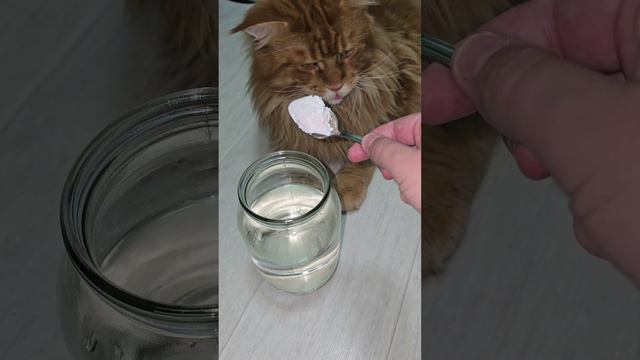 Любой цветок сразу зацветет пышной шапкой #цветы смотреть онлайн