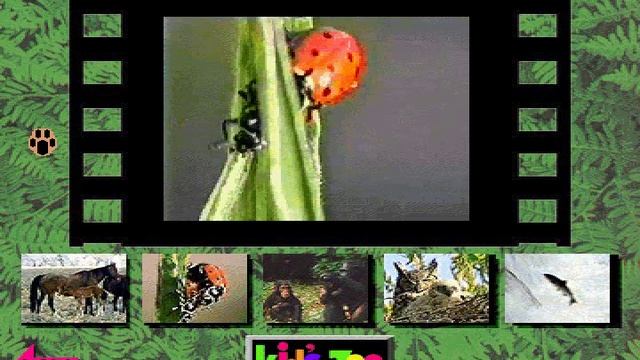 Two Ladybugs Movie from Kids Zoo A Baby Animal Adventure MS-DOS/Packard Bell Version смотреть онлайн
