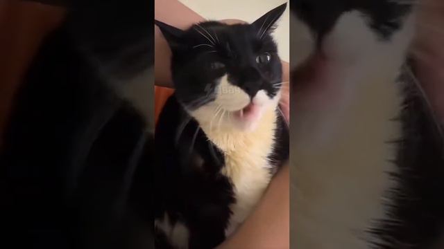 Спецобслуживание смотреть онлайн