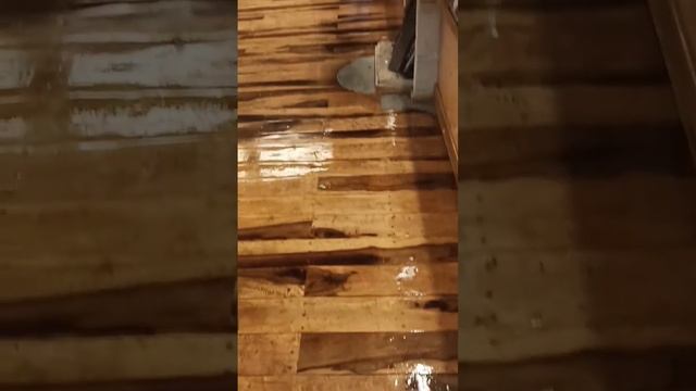 melamine glossy firs polish смотреть онлайн