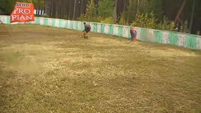 верный 4 смотреть онлайн