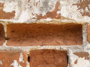 Тормашки наверху