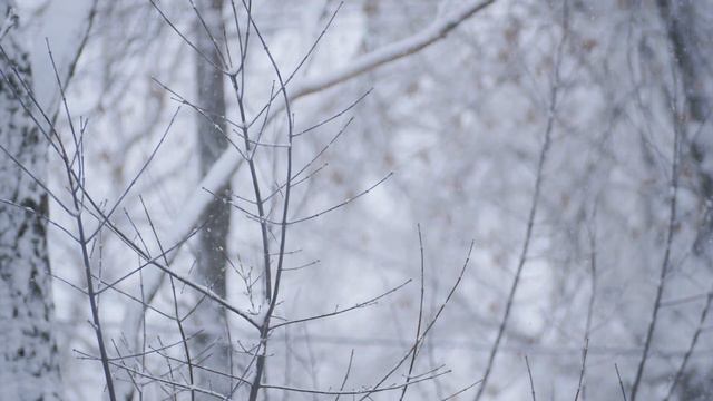 КРАСИВАЯ РОЖДЕСТВЕНСКАЯ МУЗЫКА 2024: лучшие рождественские песни всех времен для отдыха, сна и учеб