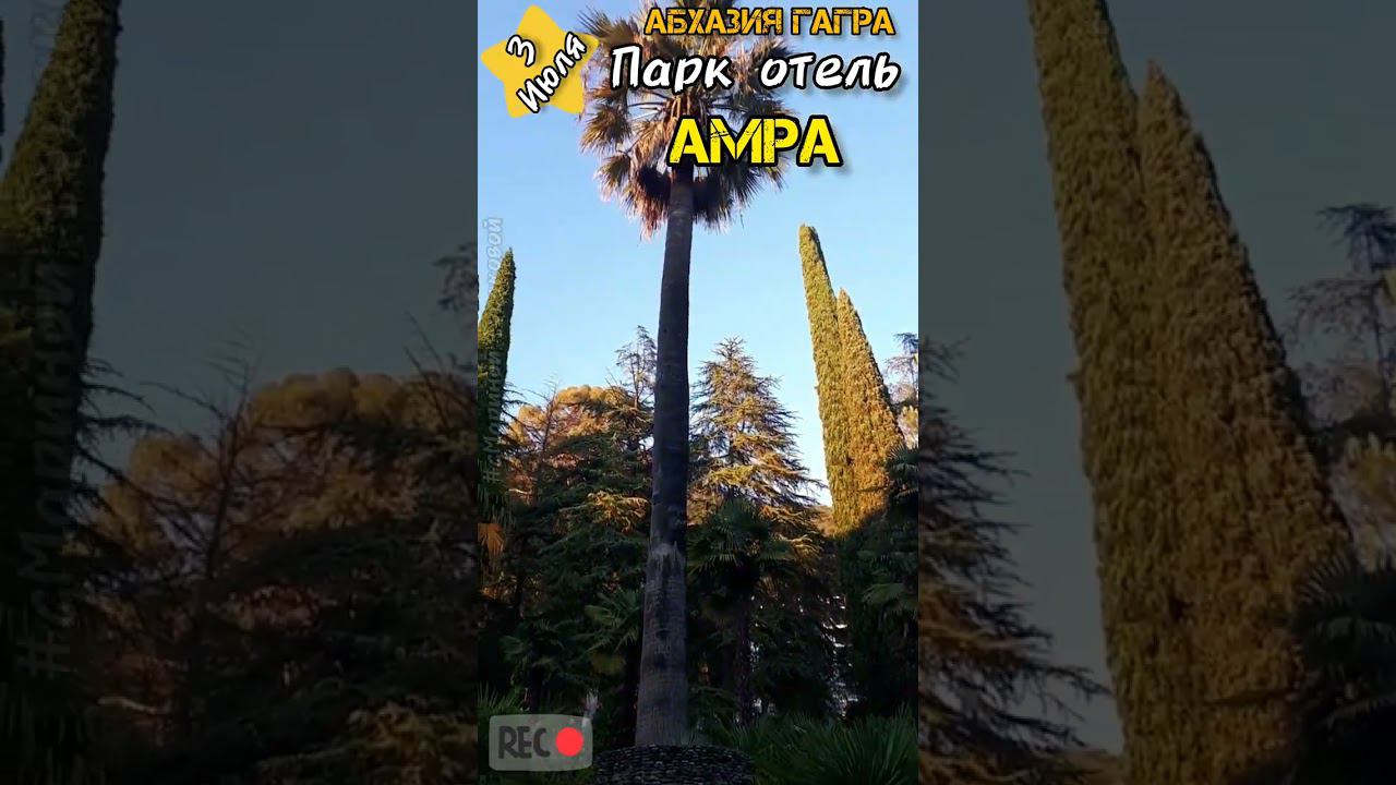 Абхазия #Гагра Парк Отель #АМРА. Дендрарий Амры. Часть - 2-ая 3 июля 2023 смотреть онлайн