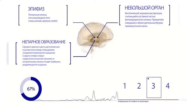Полезная информация!! Эпифиз! Тайны мозга. ?️ смотреть онлайн