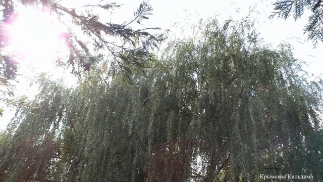 Природой называется все это... смотреть онлайн