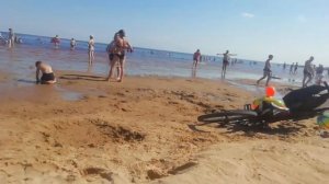 Озеро Ильмень отдых