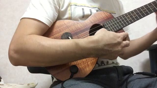Moon river / ukulele with acoustic pickup MSP смотреть онлайн