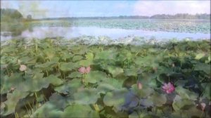 Красоты России  с высоты птичьего полета. Часть I