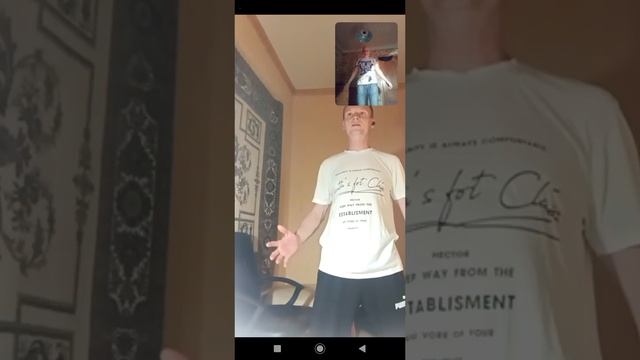 Техника работы сущностей 4 зверей с разделёнными телами (фантомом) смотреть онлайн