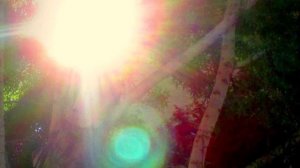 Единство противоположностей.