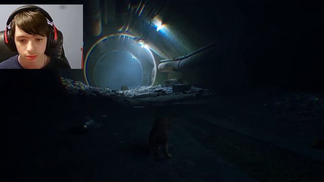 The First Meow ~ Stray Episode 1 смотреть онлайн