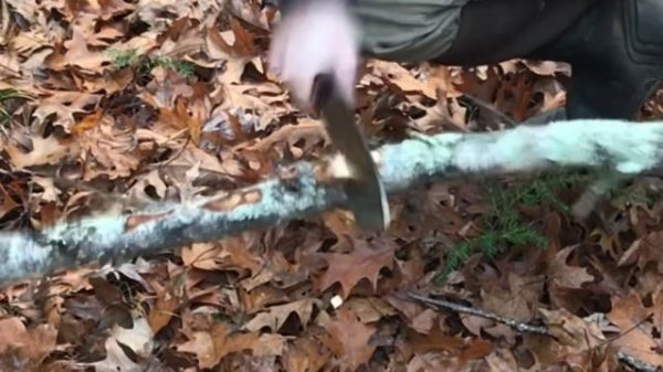 Condor Ironpath + Mini Hudson Bay + AMAZING Custom Sheath from Black Bear Custon Kydex