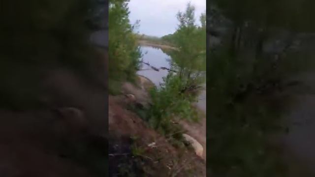 Кулматов Фахриддин таксист Москва Бомбила(2) смотреть онлайн