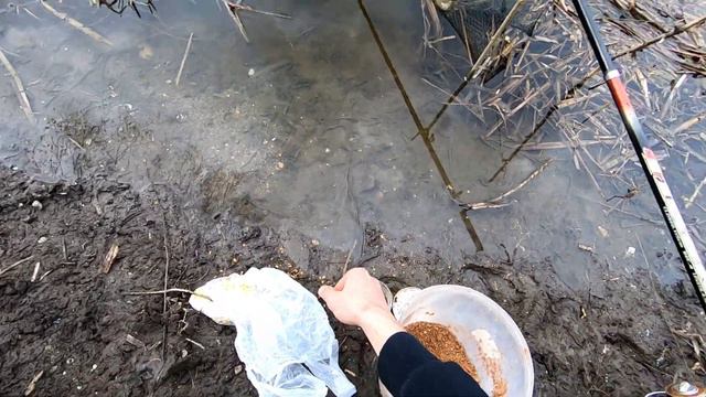 МОЩНЫЕ ПОКЛЁВКИ РЕЧНОЙ РЫБЫ! Рыбалка на фидер весной смотреть онлайн