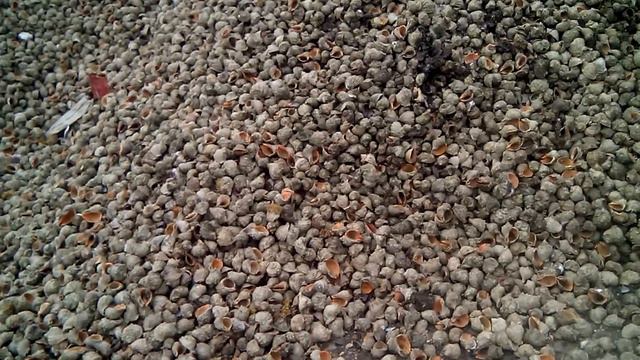 Устанешь слушать море) смотреть онлайн