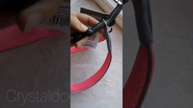 Итальянские шлейки для собак смотреть онлайн