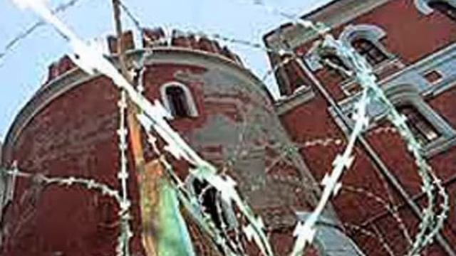 голуби летят над нашей зоной смотреть онлайн