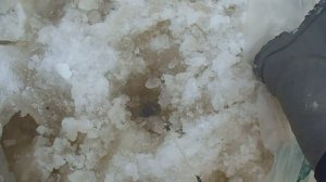 Вся рыба клюёт зимой 1 Насадка для зимней рыбалки 100% улов