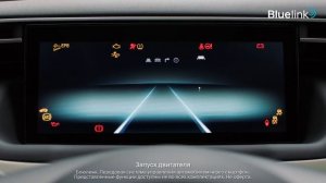 Как работает система Bluelink на новом Hyundai TUCSON?