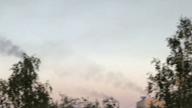 День Конституции со слезами на глазах..АрселорМиттал Темиртау 29.08.2020 #SteveVoice смотреть онлайн