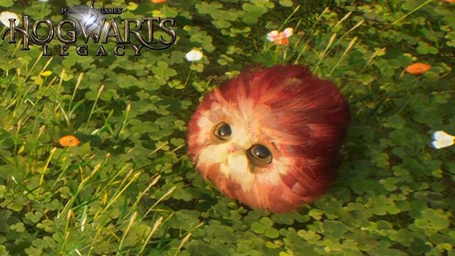 17 (Every) Magical Beasts In Hogwarts Legacy - Backstories Explored смотреть онлайн