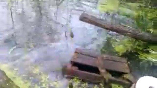 карп на енисейской смотреть онлайн