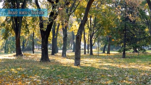 С середины сентября в Сибири начинается Бабье лето смотреть онлайн