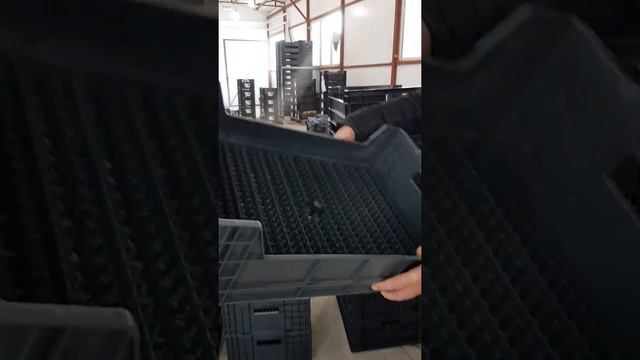 Выгонка тюльпанов . Обзор г/п ящиков. смотреть онлайн