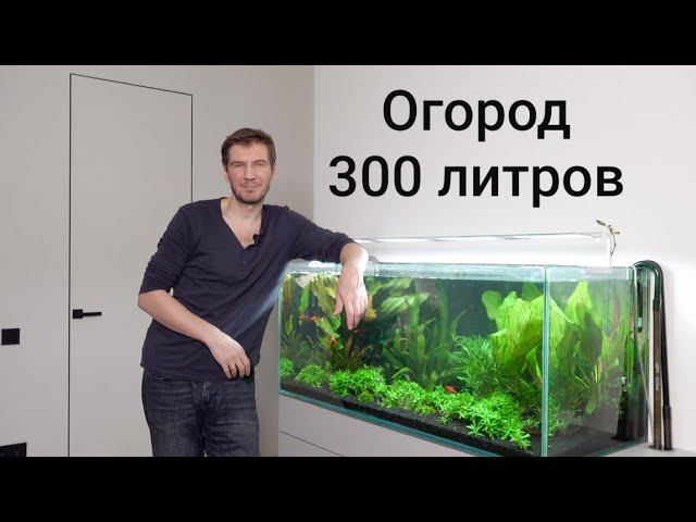Перезапуск аквариума с живыми растениями смотреть онлайн