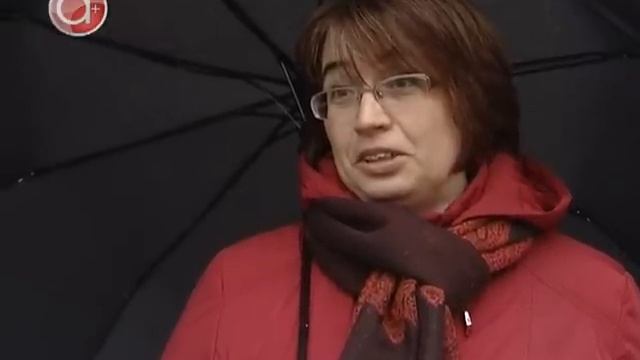Утиные истории: в Кировск и Апатиты прилетели дикие птицы смотреть онлайн