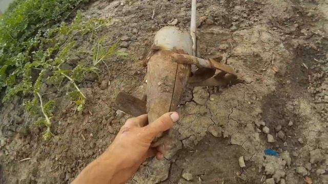 Огурцы в открытом грунте для засолки смотреть онлайн