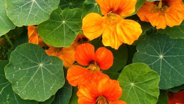 Воспоминания прошлых лет смотреть онлайн