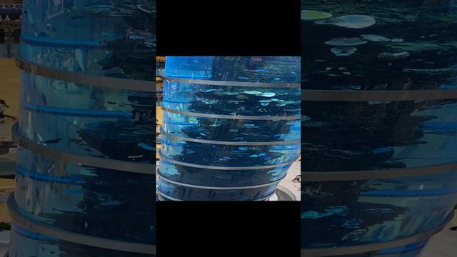 ТЦ «Авиапарк». Аквариум смотреть онлайн