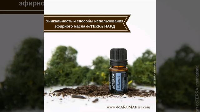 Эфирное масло НАРД смотреть онлайн