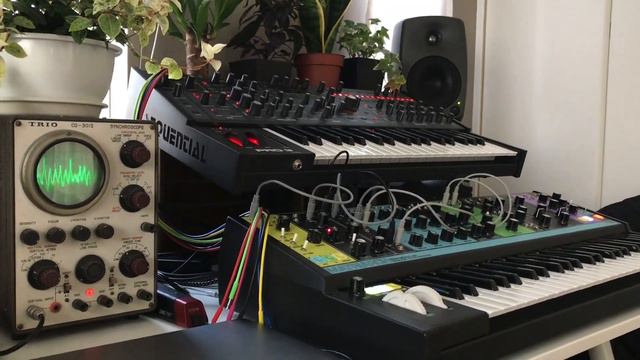 Moog Matriarch Sequential Pro 3 / Morning Sketch. 11/18/2020 смотреть онлайн