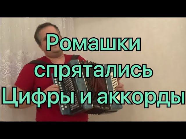 Ромашки спрятались // разбор песни по цифрам смотреть онлайн