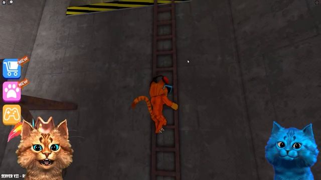 СУМАСШЕДШИЙ ПОБЕГ в Роблокс Страшная История Escape Siren Cop's Prison Весёлый Кот и КОТЁНОК ЛАЙК смотреть онлайн