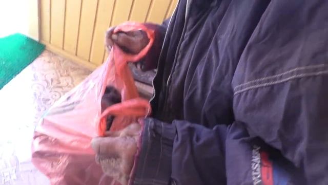 ДЕДУШКА МАТВЕЙ ДОБРАЯ ДУША! смотреть онлайн
