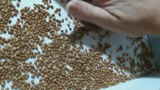 Простой массажер для ног смотреть онлайн