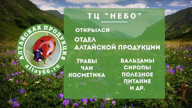 Открытие отдела Алтайской продукции в ТЦ "Небо" смотреть онлайн