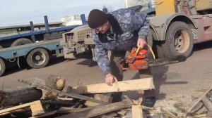 работаем бензопилой Тайга 245.