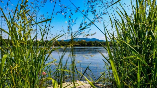 750. ♫. .ВИА Пламя - «Когда мы любим» , 1982, муз.В.Мигуля , сл.М.Танич смотреть онлайн