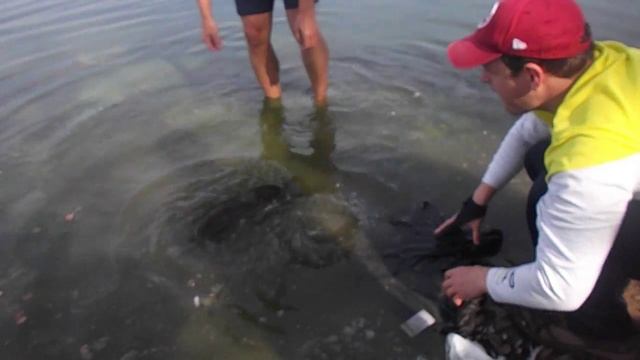 08.09 / РаМеНсКиЙ рЫбХоЗ гЖеЛкА / 2018