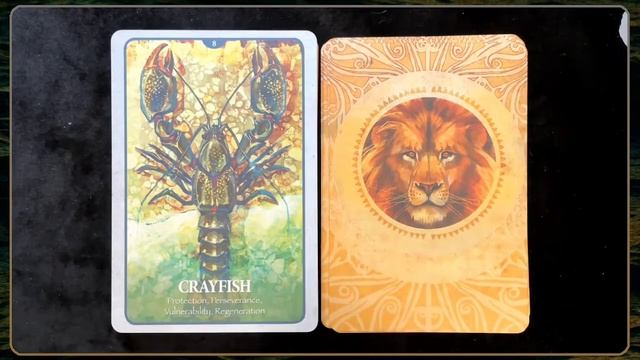 Secret Language of Animals Oracle Unboxing and Flip Through! смотреть онлайн